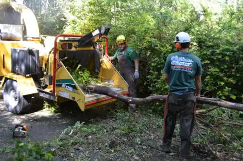 tree services Garfield